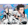 BLEACH - Poster Plastifi� 