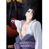 NARUTO SHIPPUDEN - Poster plastifi� 