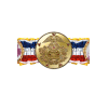 Rocky Replica 1/1 Rocky?s World Championship Belt
