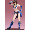 Tekken Tag Tournament 2 Bishoujo PVC Statue 1/7 Asuka Kazama 24 cm