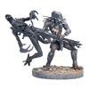 Alien vs Predator: Series 2 - Celtic Predator Throws Alien