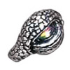 Dragon Eye