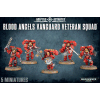 Blood Angels Vanguard Veteran Squad
