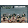 Dark Angels Company Veterans Squad
