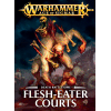 Battletome: Flesh-eater Courts