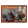 Dwarf Warriors Regiment