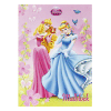 Disney Princess Drawing Pad A4 Case (6)