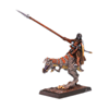Dark Elf Hero on Lizard