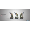 Foxtrot Rangers (Sniper)