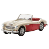 Austin Healy 100-6