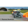 Fairey Gannet T.5 