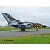 Tornado ECR Tigermeet 2011