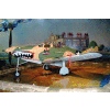 P-39D Airacobra