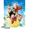 DRAGON BALL - poster - DB Group (52x38)