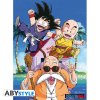 DRAGON BALL - poster - DB Kame Team (52x38)
